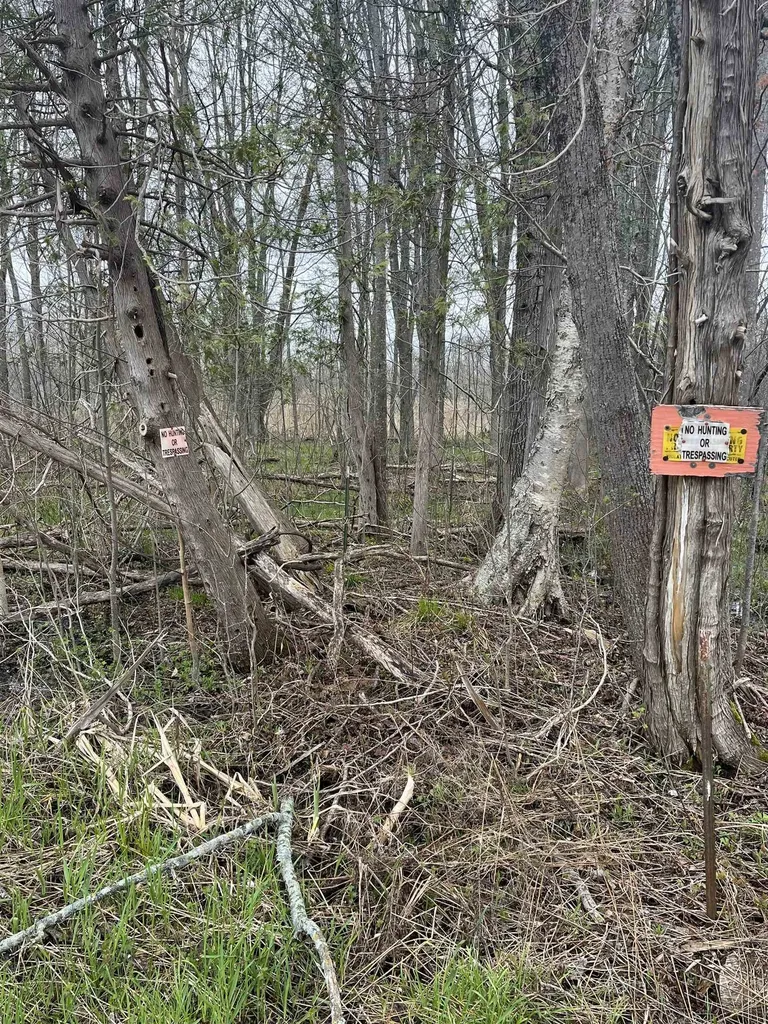 0 Wallen Road Colfax Township MI 49643