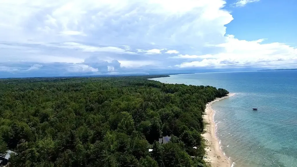 2692 Birchview Drive Torch Lake Township MI 49648