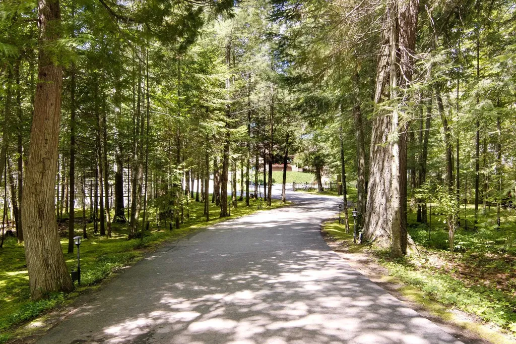 2692 Birchview Drive Torch Lake Township MI 49648