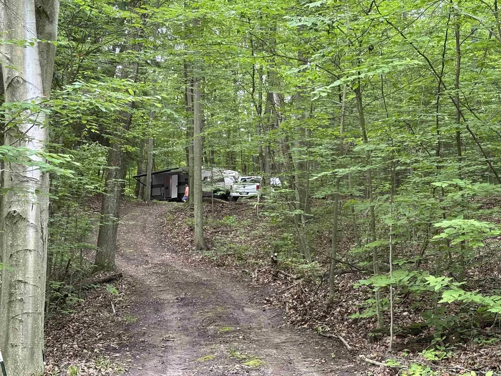 251 Forest Trail Rose Lake Township MI 49655