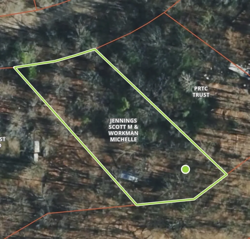 251 Forest Trail Rose Lake Township MI 49655