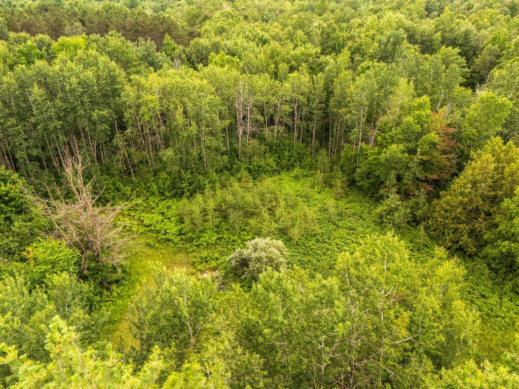 6797 N Us-131 Liberty Township MI 49663