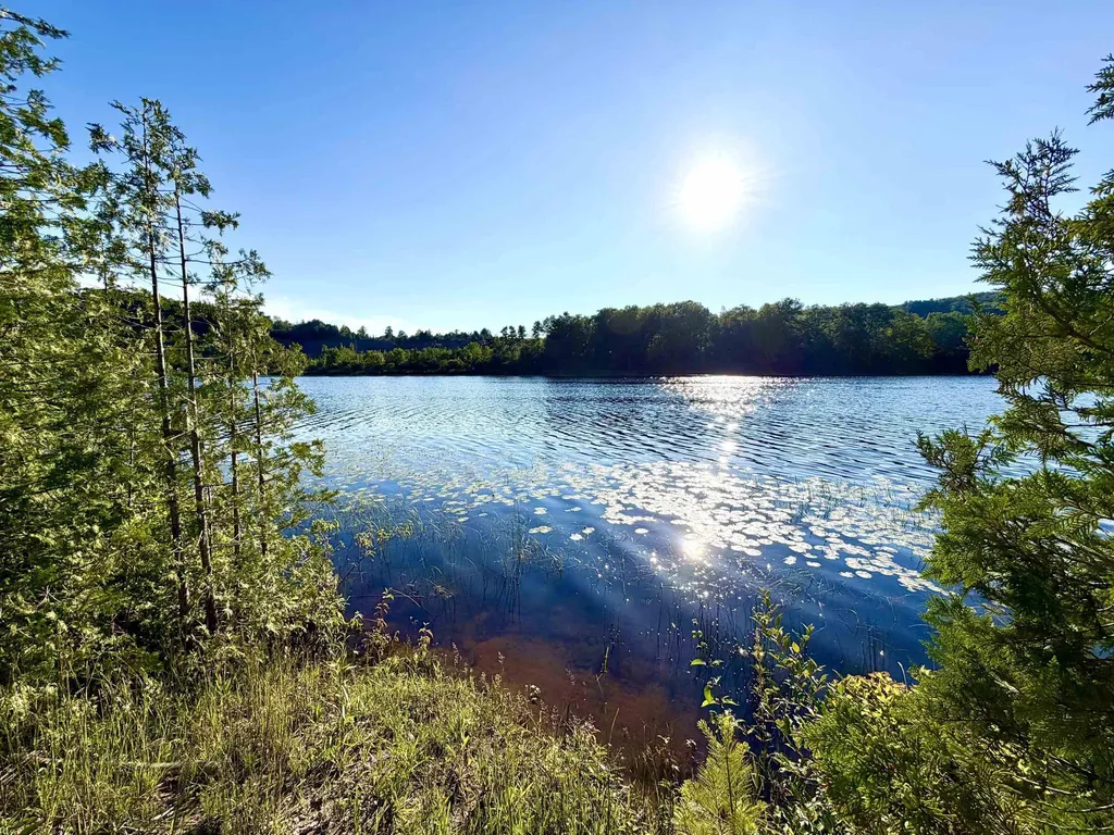 7932 Rushton Road Banks Township MI 49729