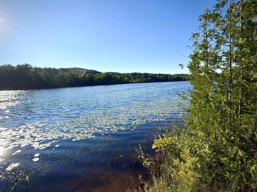 7932 Rushton Road Banks Township MI 49729
