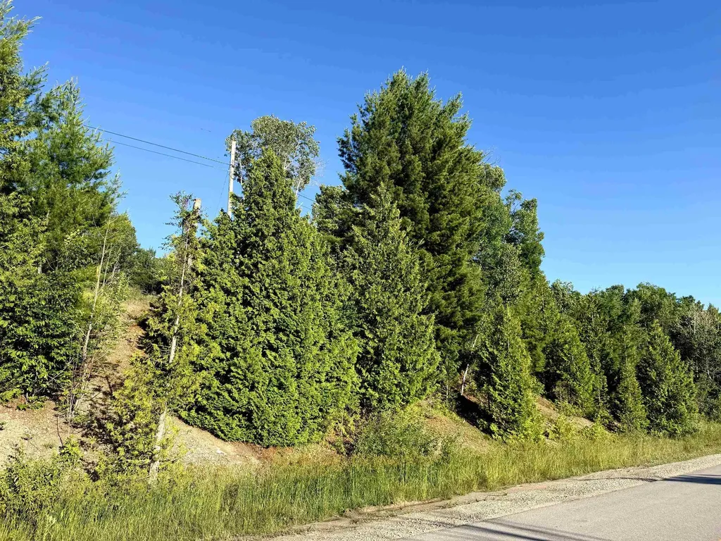 7932 Rushton Road Banks Township MI 49729