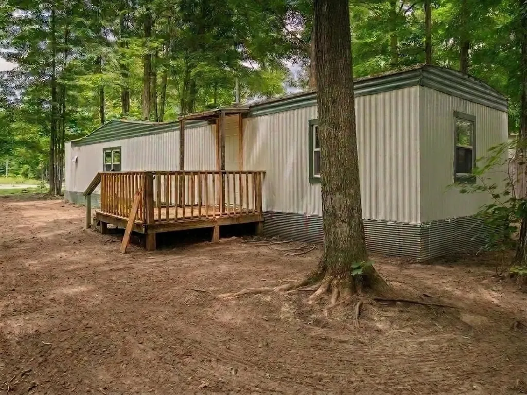 4519 E Mobile Trail Blair Township MI 49685