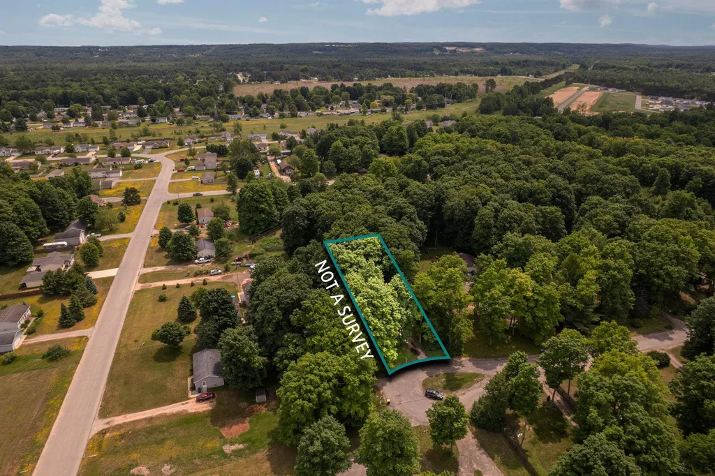 4519 E Mobile Trail Blair Township MI 49685
