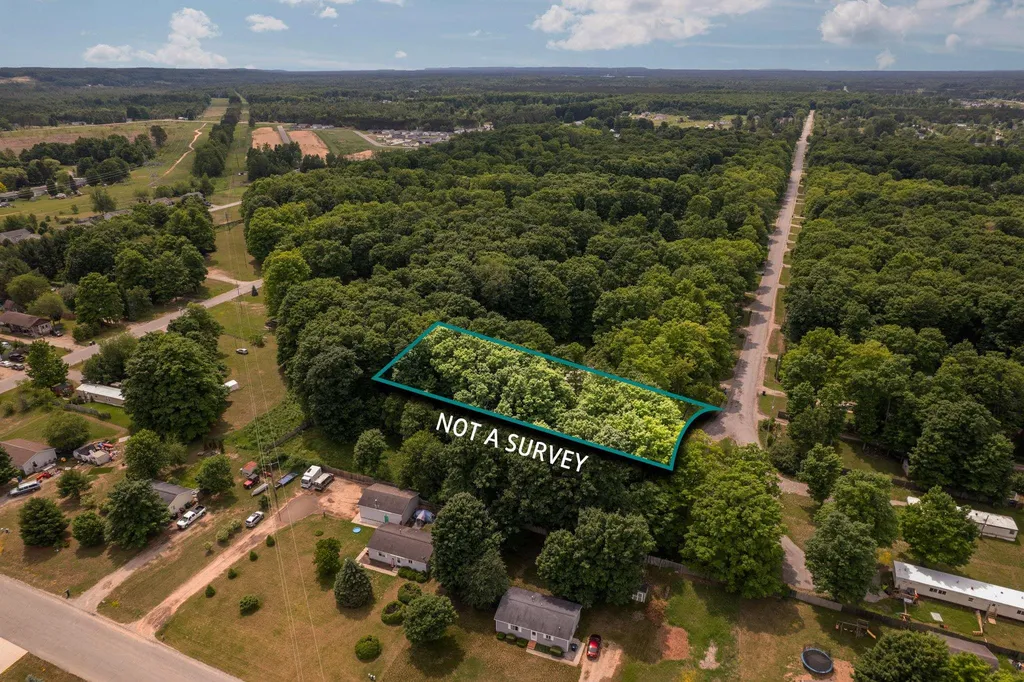 4519 E Mobile Trail Blair Township MI 49685