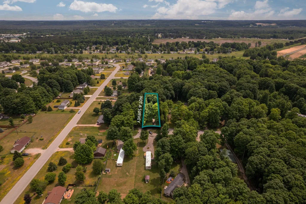 4519 E Mobile Trail Blair Township MI 49685