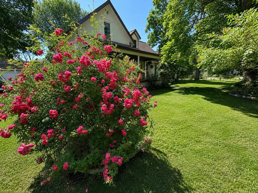 325 Spruce Street Traverse City City MI 49684
