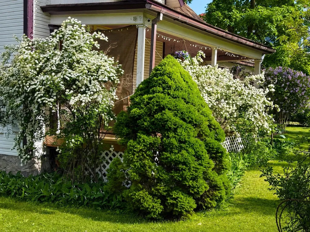 325 Spruce Street Traverse City City MI 49684