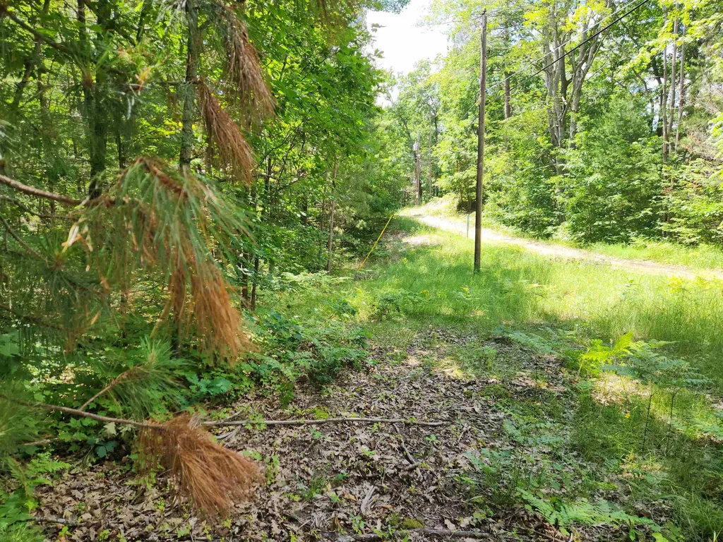000 Bradley Bear Lake Township MI 49646