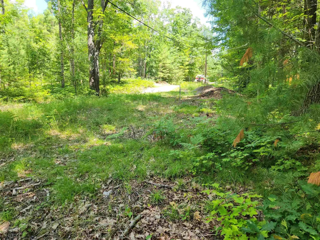000 Bradley Bear Lake Township MI 49646