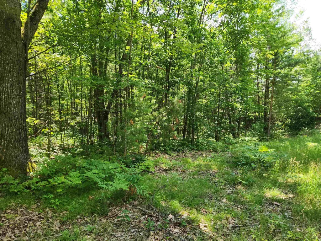 000 Bradley Bear Lake Township MI 49646