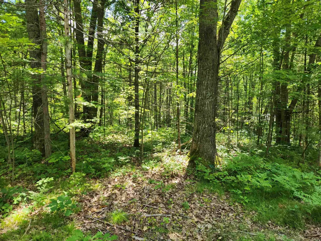 000 Bradley Bear Lake Township MI 49646