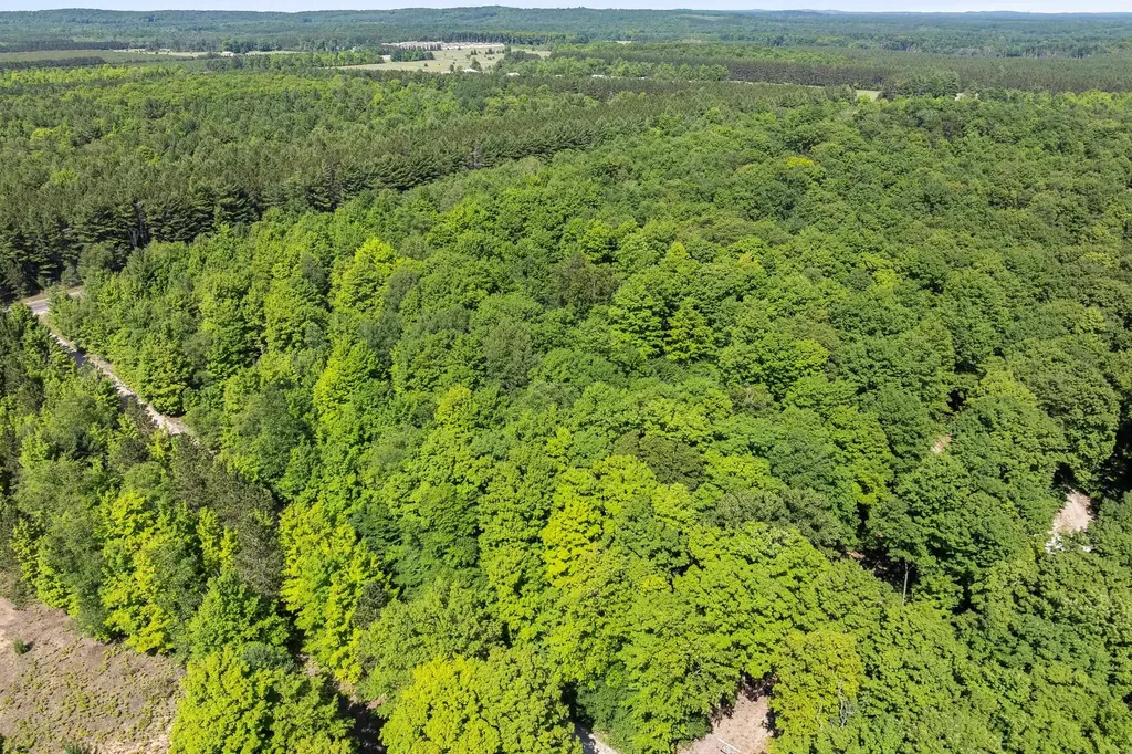 002 S Aring Drive Empire Township MI 49630