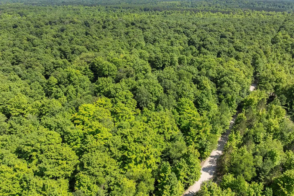 002 S Aring Drive Empire Township MI 49630
