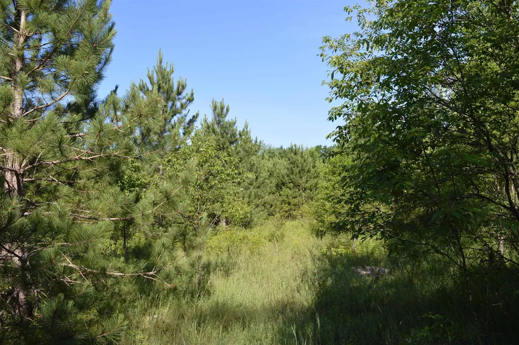 NE Holly Road Rapid River Township MI 49646