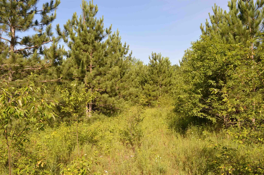 NE Holly Road Rapid River Township MI 49646