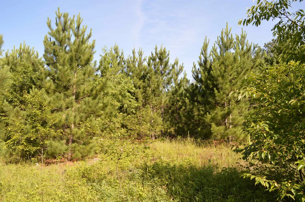 NE Holly Road Rapid River Township MI 49646