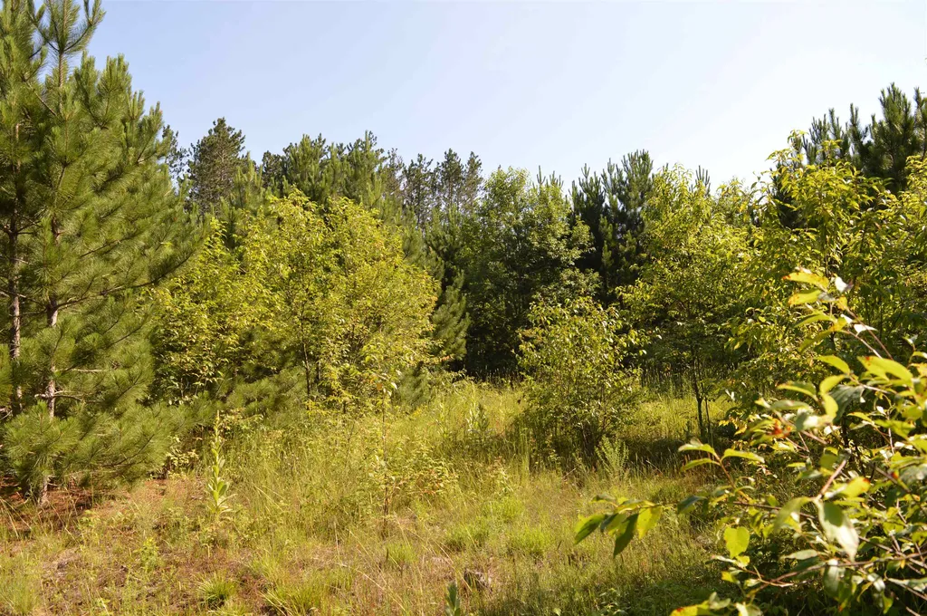 NE Holly Road Rapid River Township MI 49646