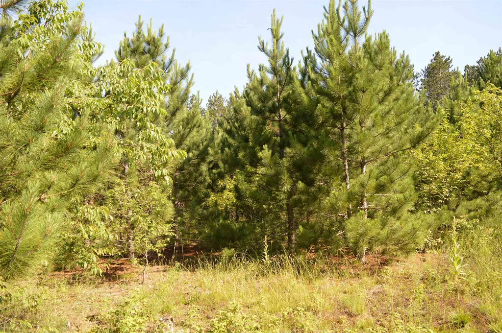NE Holly Road Rapid River Township MI 49646