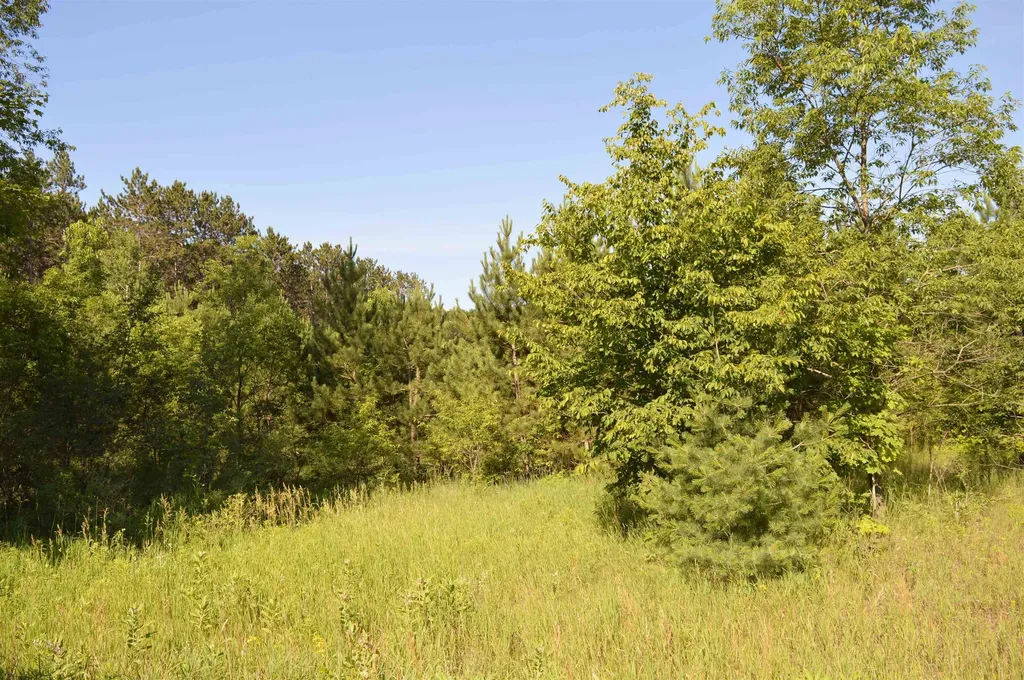 NE Holly Road Rapid River Township MI 49646