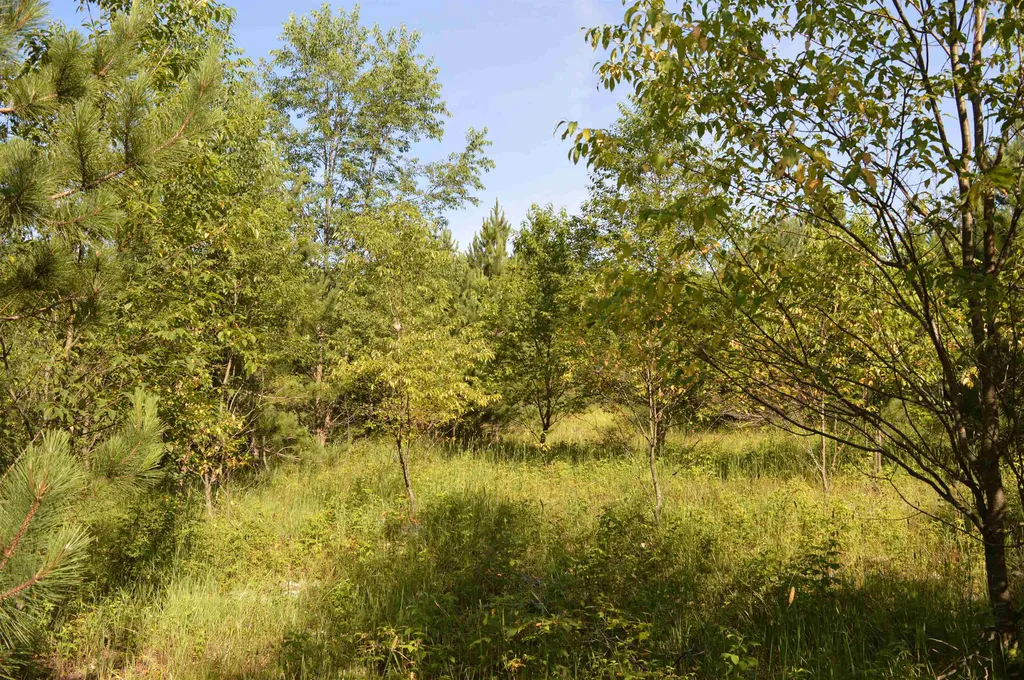 NE Holly Road Rapid River Township MI 49646