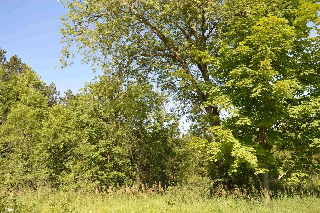 NE Holly Road Rapid River Township MI 49646