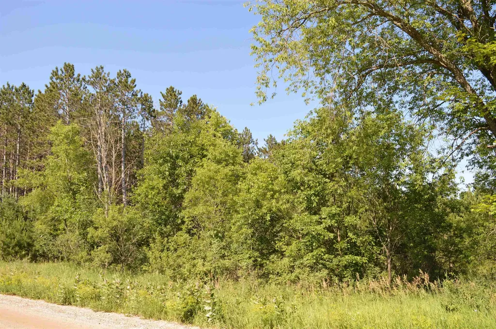 NE Holly Road Rapid River Township MI 49646