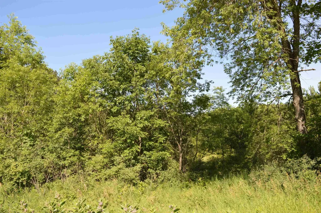 NE Holly Road Rapid River Township MI 49646