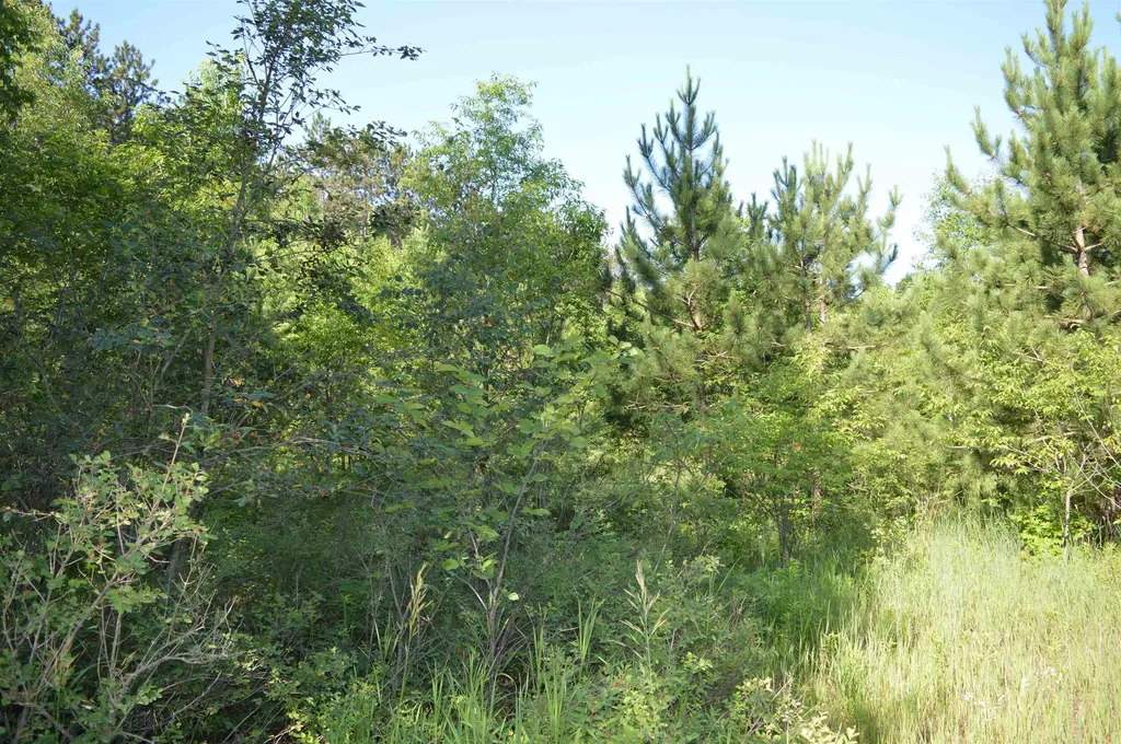NE Holly Road Rapid River Township MI 49646