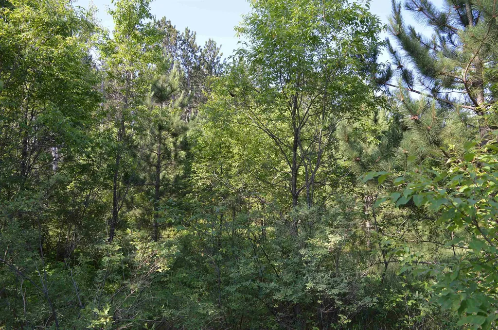 NE Holly Road Rapid River Township MI 49646