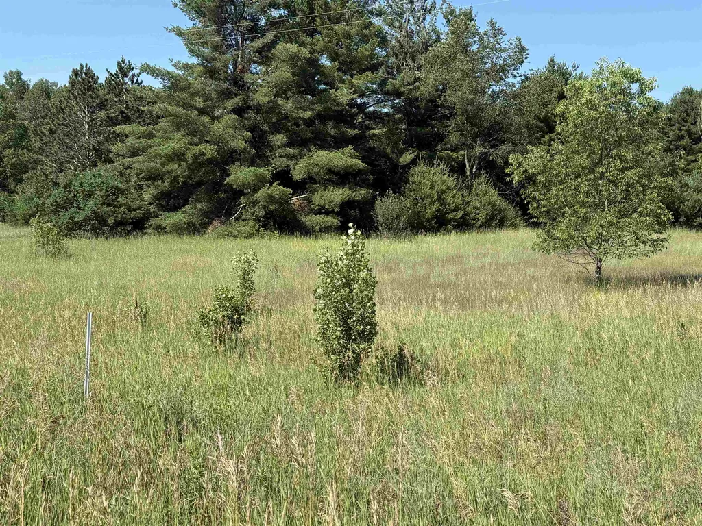 Vl S Forward Riverside Township MI 49657