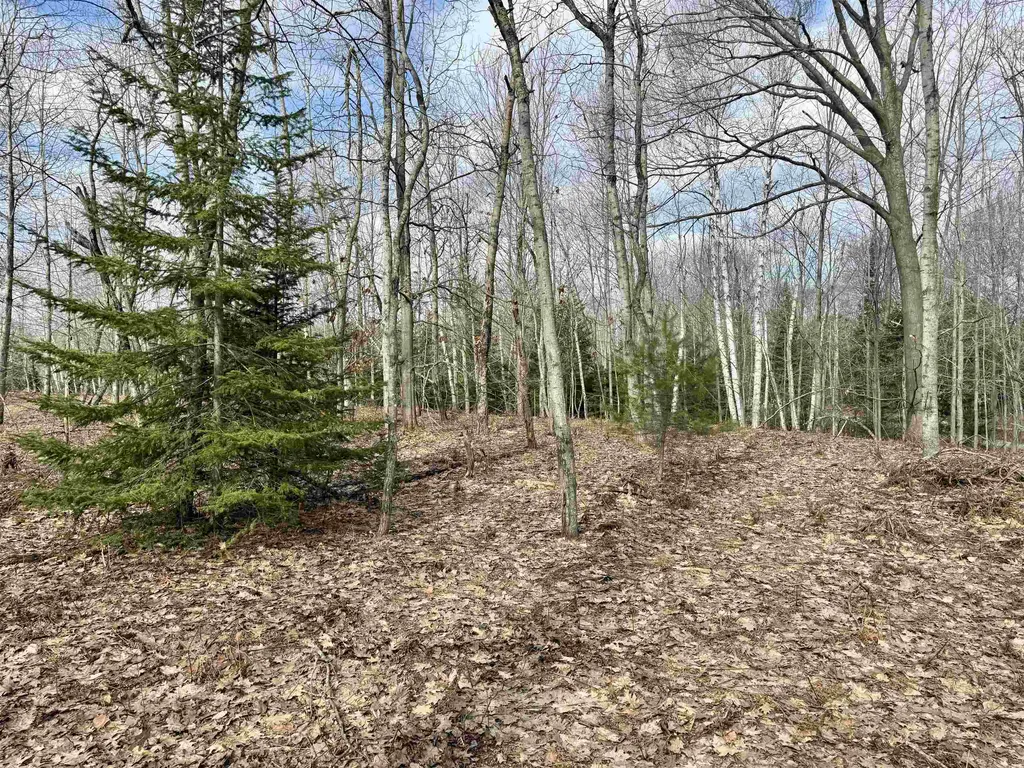 0 E Sandy Lane Cleveland Township MI 49621