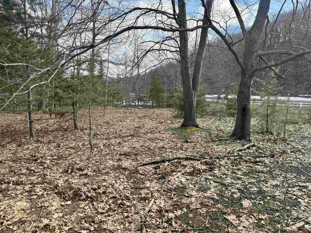 0 E Sandy Lane Cleveland Township MI 49621