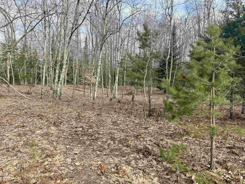 0 E Sandy Lane Cleveland Township MI 49621