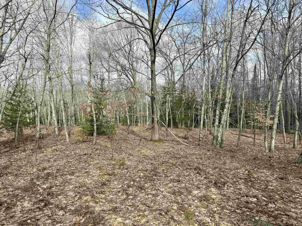 0 E Sandy Lane Cleveland Township MI 49621
