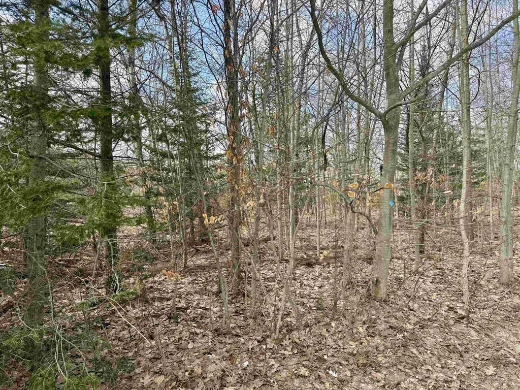0 E Sandy Lane Cleveland Township MI 49621