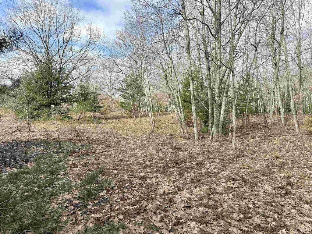0 E Sandy Lane Cleveland Township MI 49621