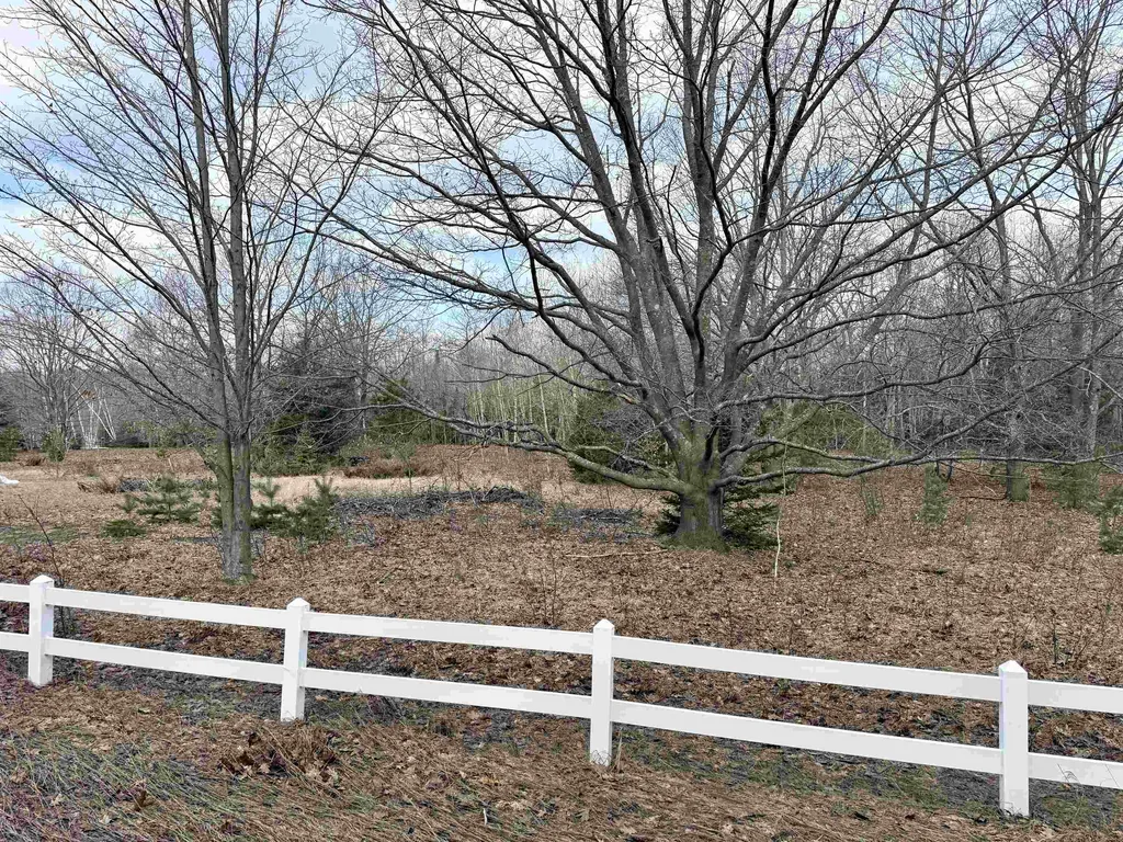 0 E Sandy Lane Cleveland Township MI 49621