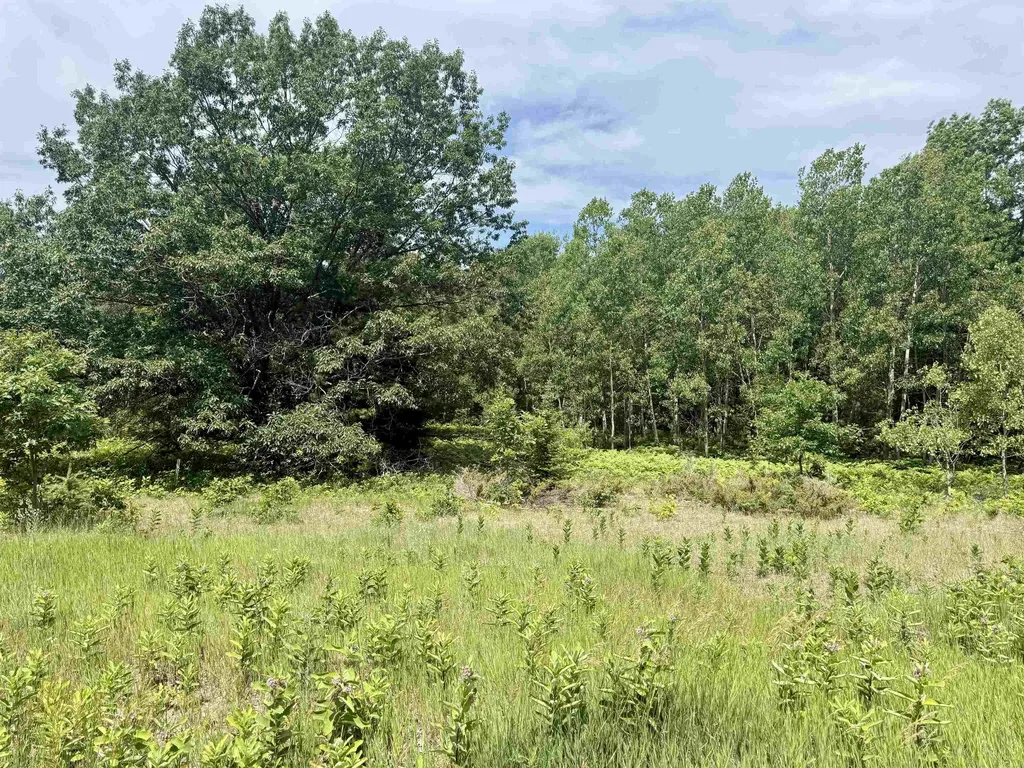 0 E Sandy Lane Cleveland Township MI 49621