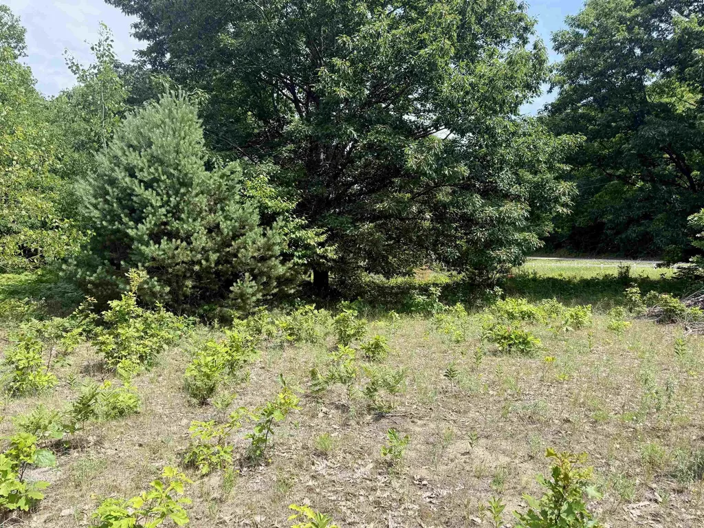 0 E Sandy Lane Cleveland Township MI 49621