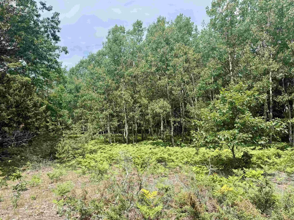 0 E Sandy Lane Cleveland Township MI 49621