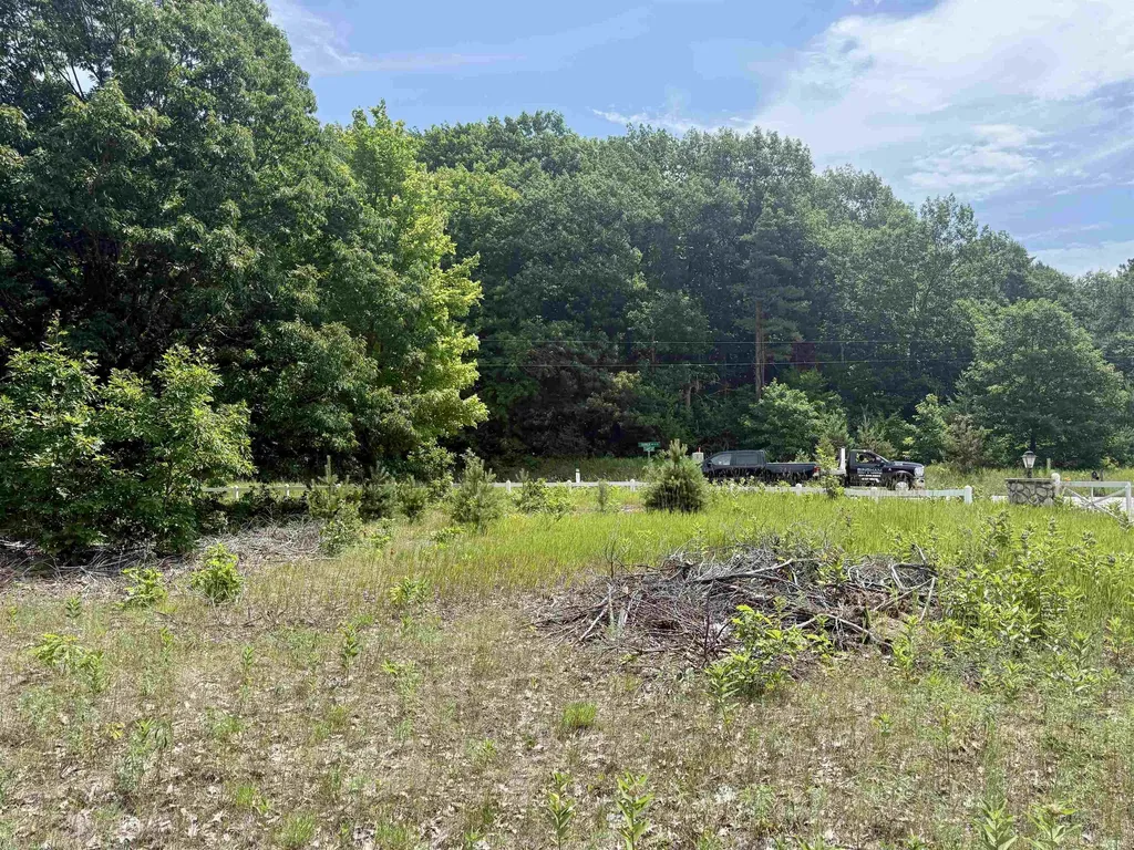 0 E Sandy Lane Cleveland Township MI 49621