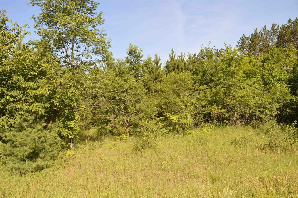 NE Holly Road Rapid River Township MI 49646