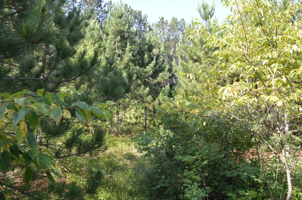 NE Holly Road Rapid River Township MI 49646