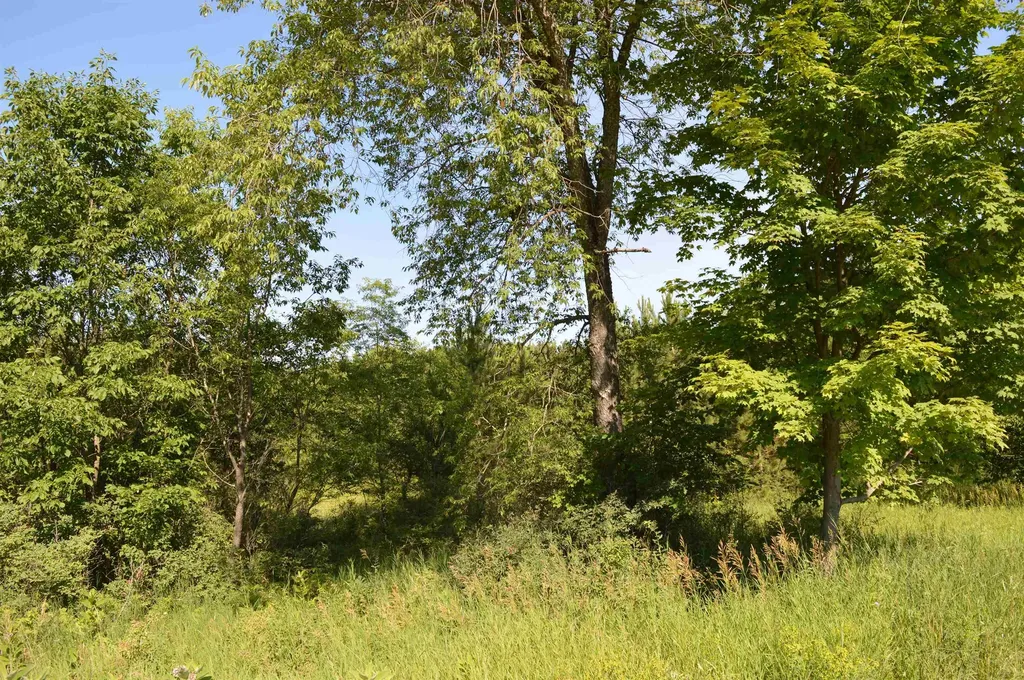 NE Holly Road Rapid River Township MI 49646
