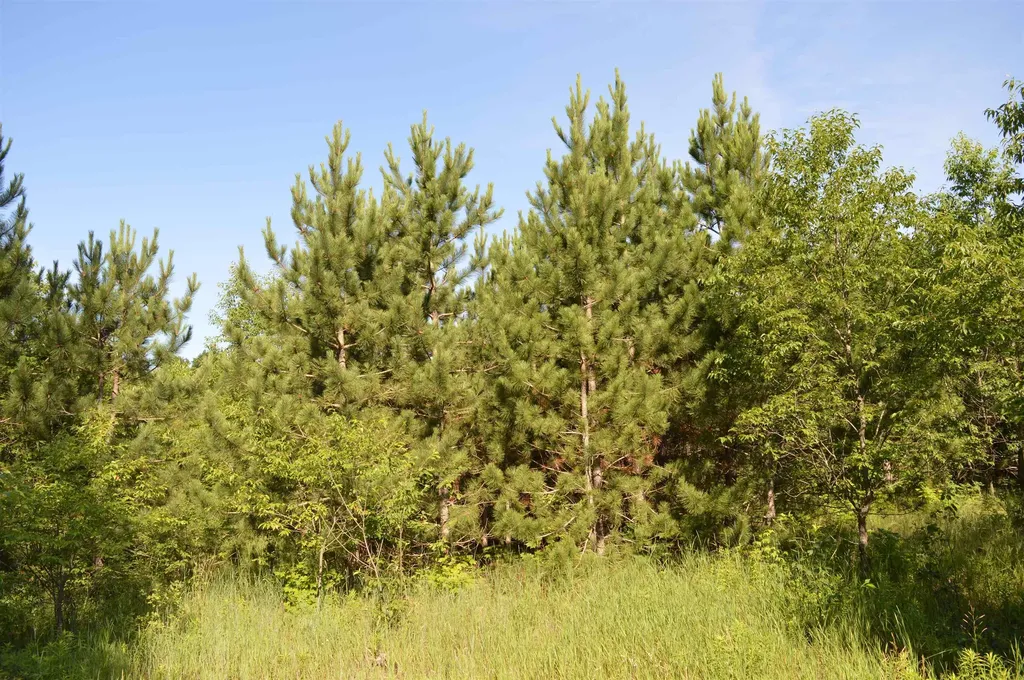 NE Holly Road Rapid River Township MI 49646
