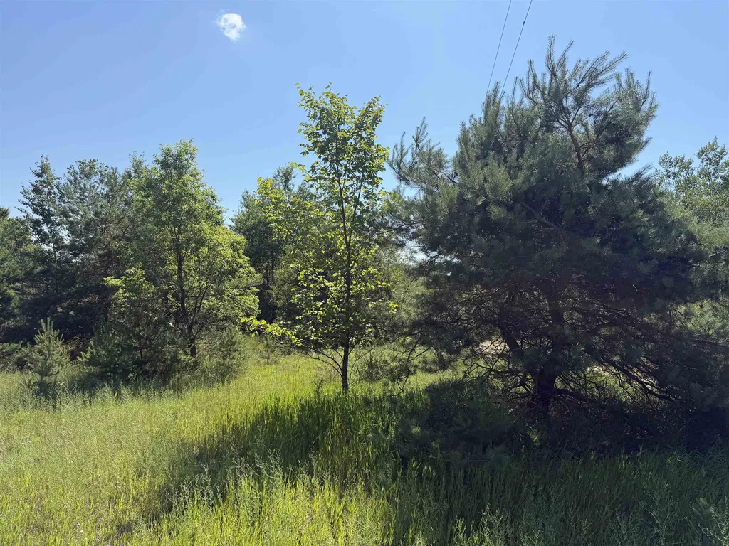 8819 Harlan Road Cleon Township MI 49625